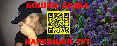 прущие грибы Лесосибирск