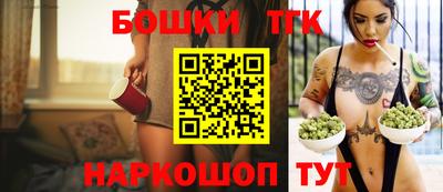 прущие грибы Лесосибирск