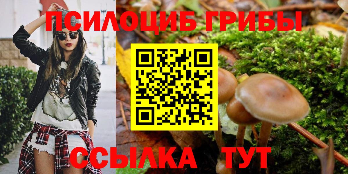 Галлюциногенные грибы мухоморы  Вход с VPN  Калининград  Галлюциногенные грибы прущие грибы 